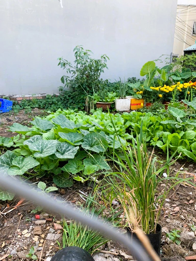 ĐẤT 3 MẶT TIỀN KINH DOANH VIP, NGANG 6.3M HIẾM, ĐƯỜNG 182 TNPA, XÂY NGAY, CHỈ 8.9TỶ