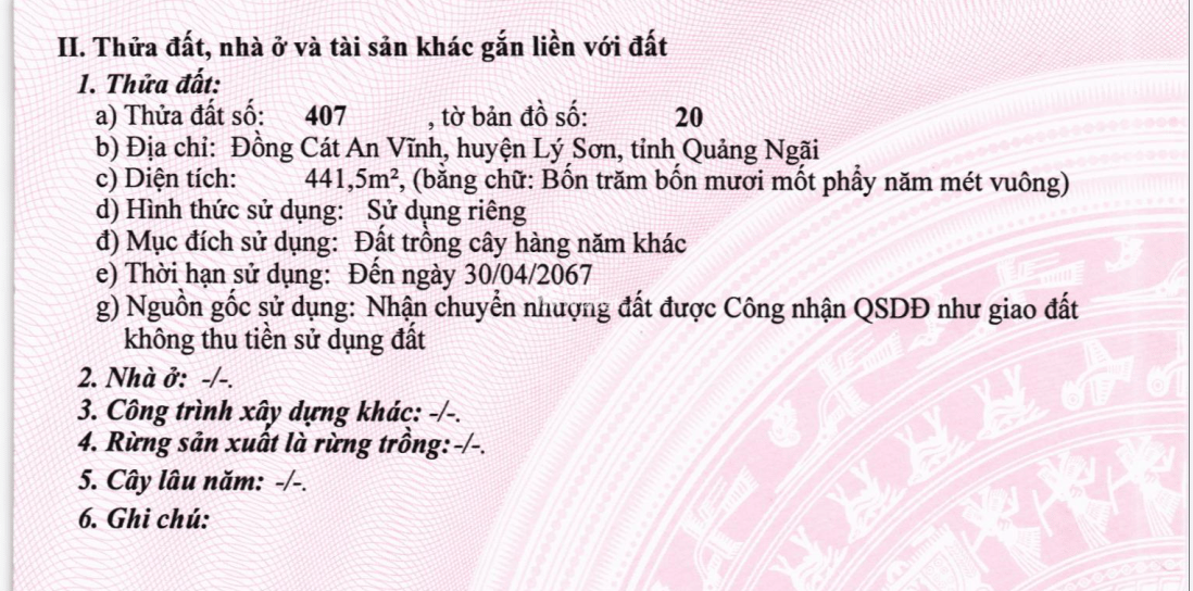 BÁN ĐẤU GIÁ LẦN 1 -  08 TS MBAMC Ở ĐỒNG CÁT AN VĨNH, HUYỆN LÝ SƠN, QUẢNG NGÃI