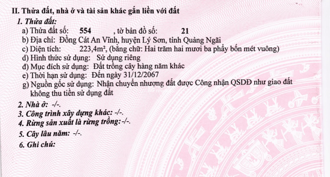 BÁN ĐẤU GIÁ LẦN 1 -  08 TS MBAMC Ở ĐỒNG CÁT AN VĨNH, HUYỆN LÝ SƠN, QUẢNG NGÃI
