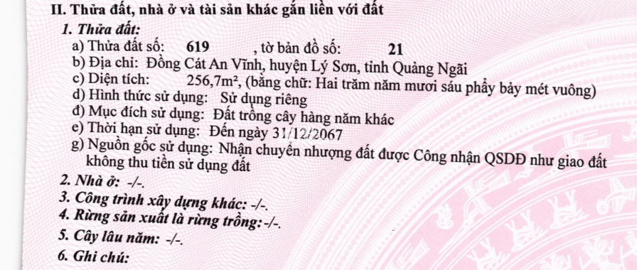 BÁN ĐẤU GIÁ LẦN 1 -  08 TS MBAMC Ở ĐỒNG CÁT AN VĨNH, HUYỆN LÝ SƠN, QUẢNG NGÃI
