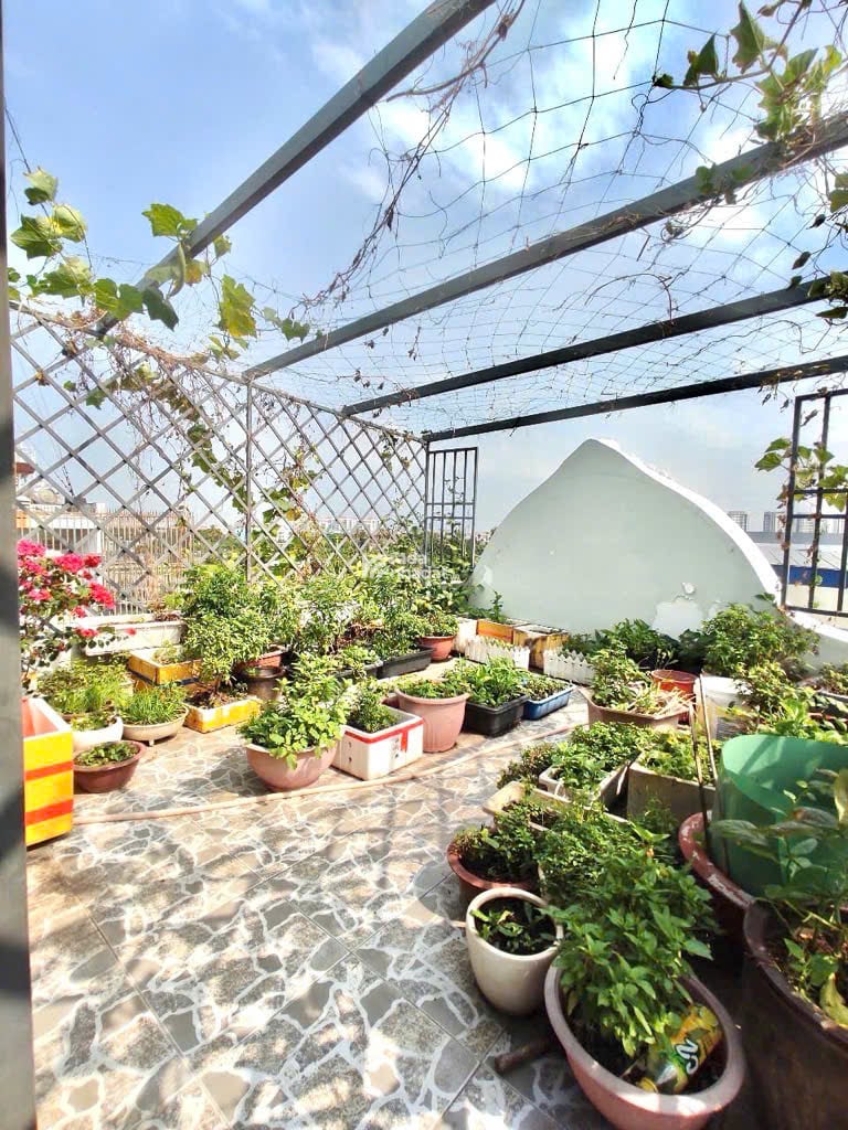 NHÀ PHỐ 1 HẦM 3 LẦU   SẮP RA MẶT TIỀN TIỀM NĂNG TĂNG GIÁ CAO- LÊ ĐỨC THỌ P15 Q GÒ VẤP