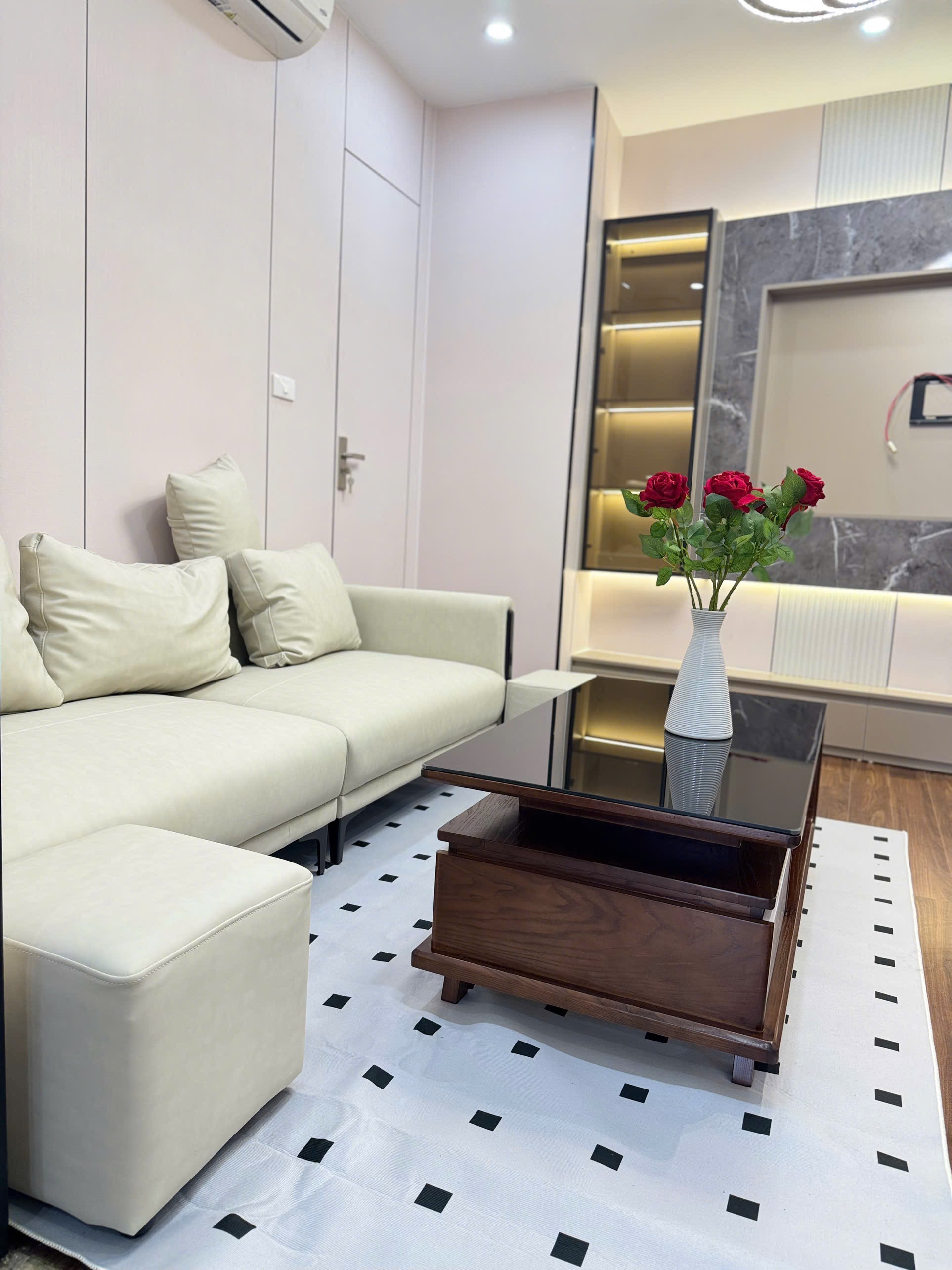 Bán TSQ Euroland 70m2 2pn 2wc sang xịn mịn đẹp nhất Hà Đông