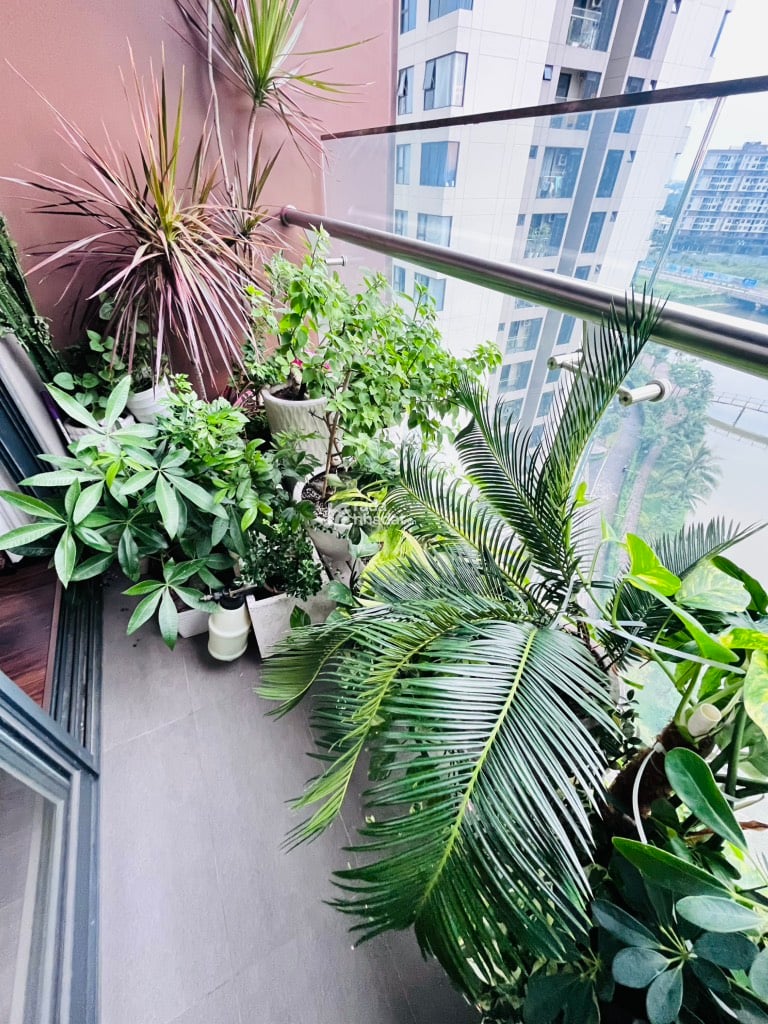 Mizuki Park Căn Hộ 2PN 78 m2 View Kênh Đào, Full Nội Thất,Giá 4,4 Tỷ