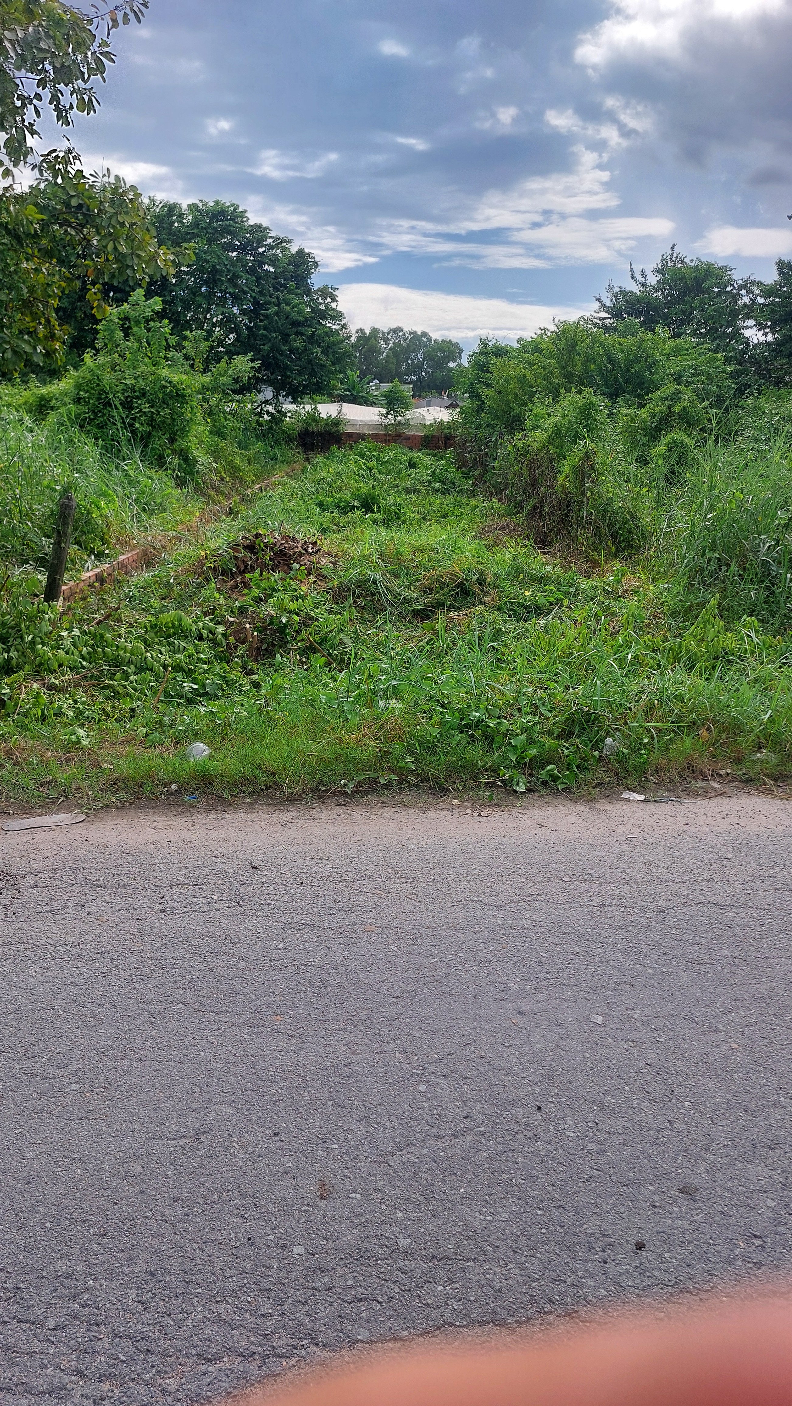 Đất Ngộp đường 460, Full thổ cư, đất ở hiện hữu, 5x25, giá chỉ hơn 2 tỏi