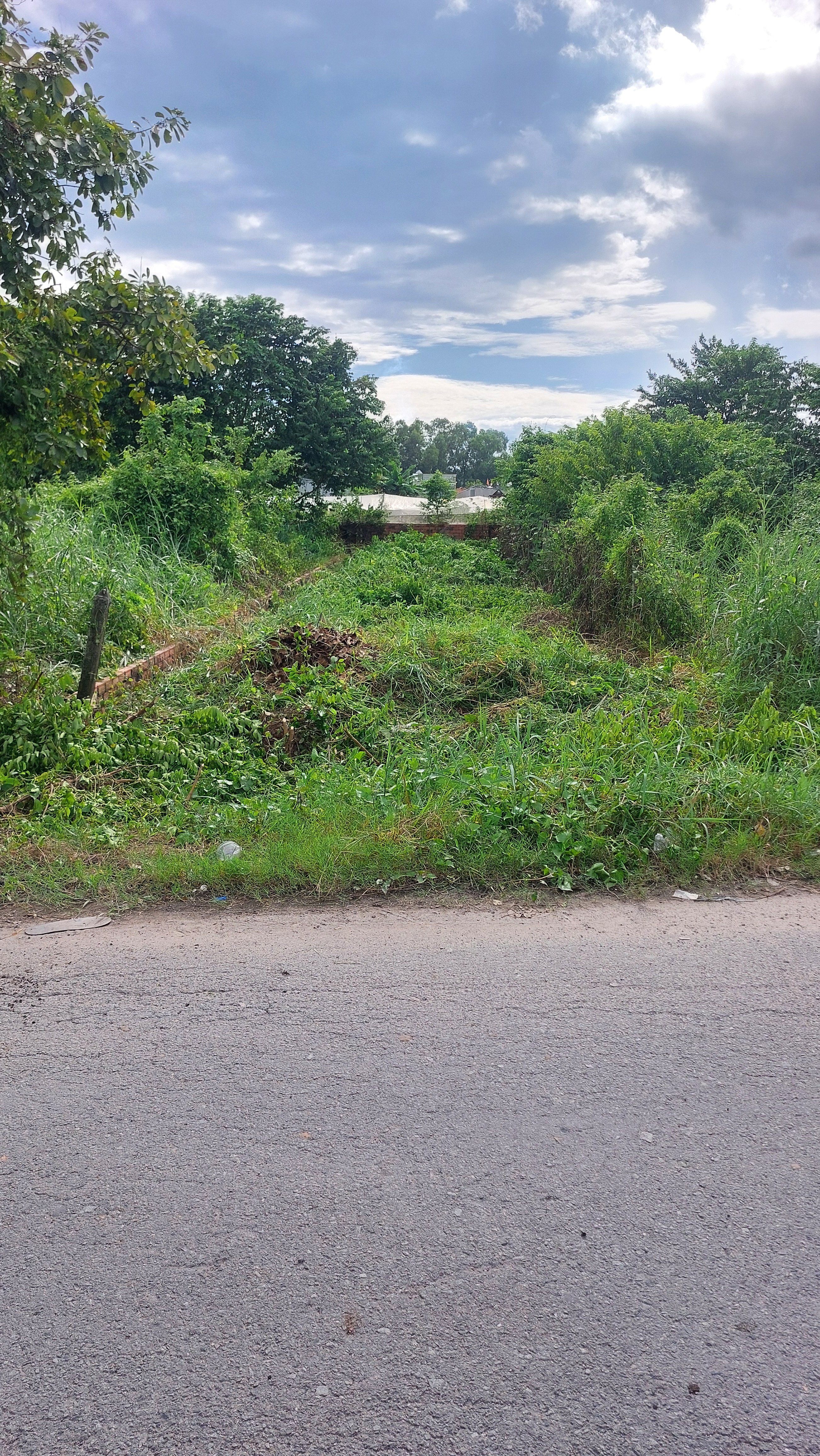 Đất Ngộp đường 460, Full thổ cư, đất ở hiện hữu, 5x25, giá chỉ hơn 2 tỏi