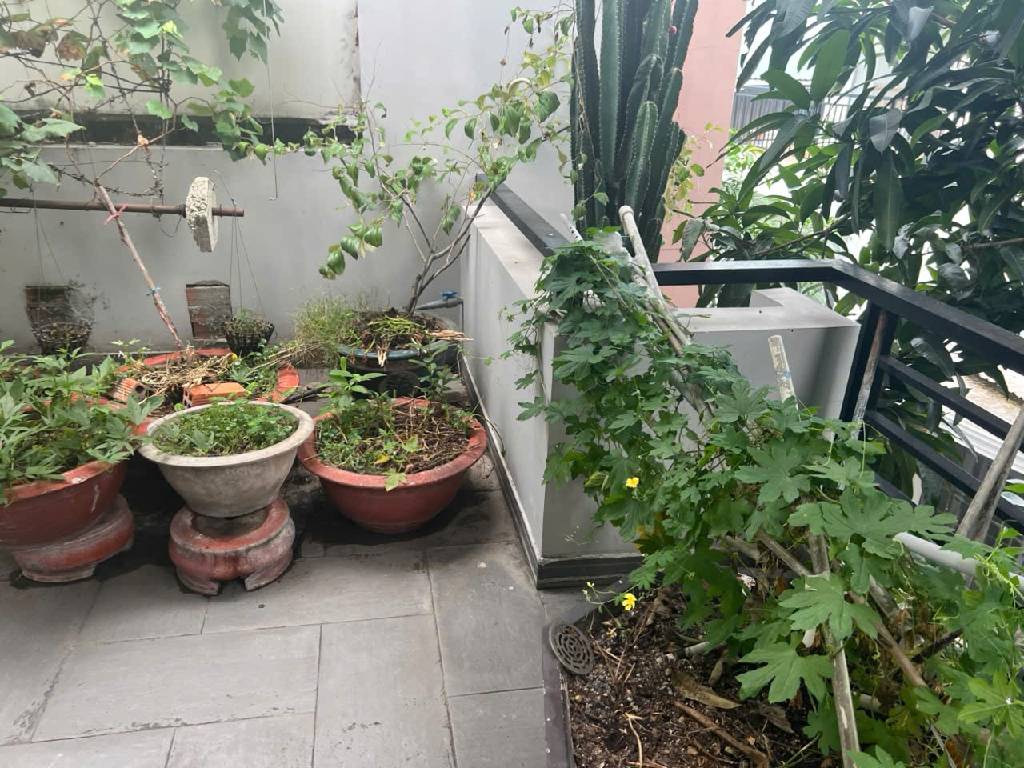 có 5PN, 5WC, 3 Phòng khách, gara xe hơi, phòng thờ,... khách mua về vào ở ngay.