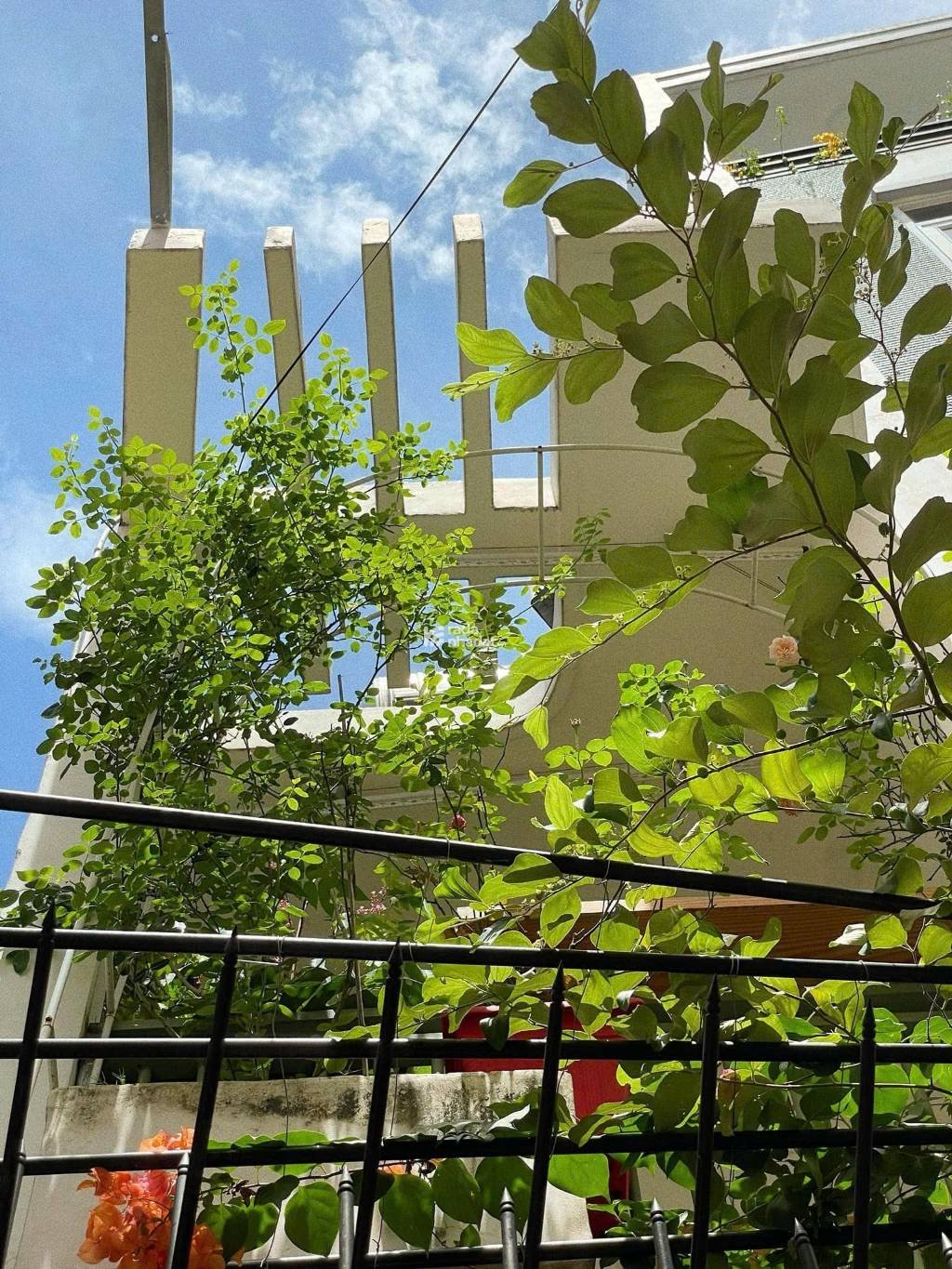 Bán nhà đẹp Thích Quảng Đức, Phường 5 Phú Nhuận, tặng full nội thất, nhỉnh 5 tỷ TL.