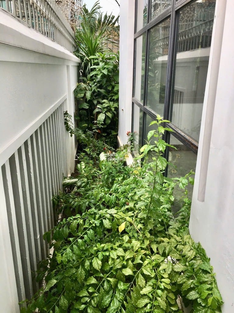 HẺM XE HƠI NGUYỄN CẢNH DỊ, TÂN BÌNH, 220M2 CÓ KC Ở NGAY. GIẢM 350TR CHỈ 36.5T 