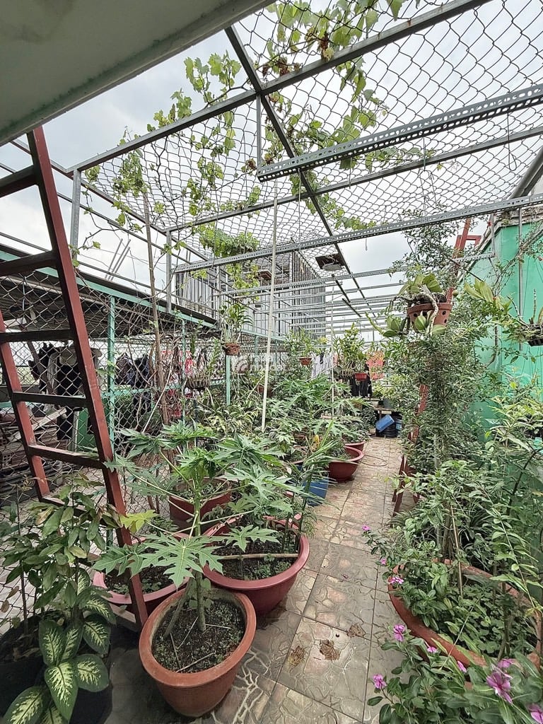 NHÀ ĐẸP 4 TẦNG 116M-NGANG 6M-HẺM 4M TÂN HÒA ĐÔNG -GIÁ 12.5 TỶ