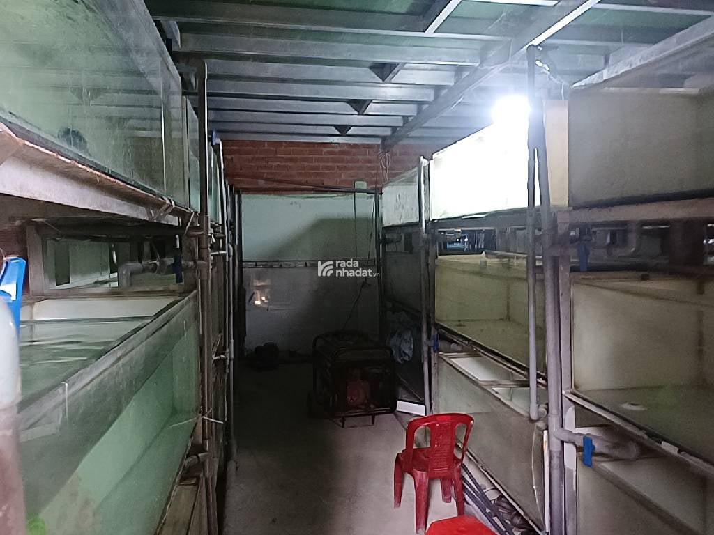 Nhà , đất  300m2,  gồm 3 căn nhà,  ngay Tân Nhựt,  Bình Chánh 