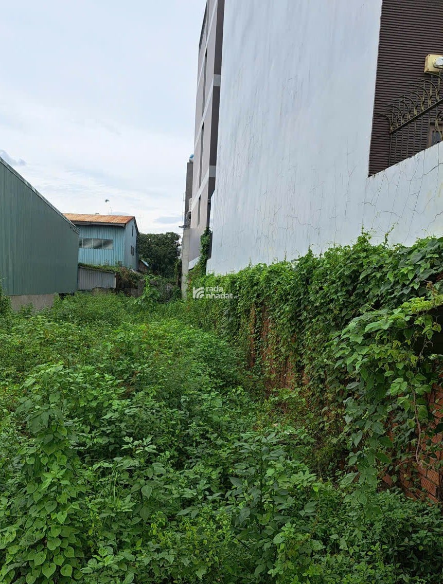 ĐẤT MẶT TIỀN Đ. RẠCH LÙNG TAM PHÚ CỰC ĐẸP, KINH DOANH ĐA NGÀNH, 10X32 CHỈ 31 TỶ.