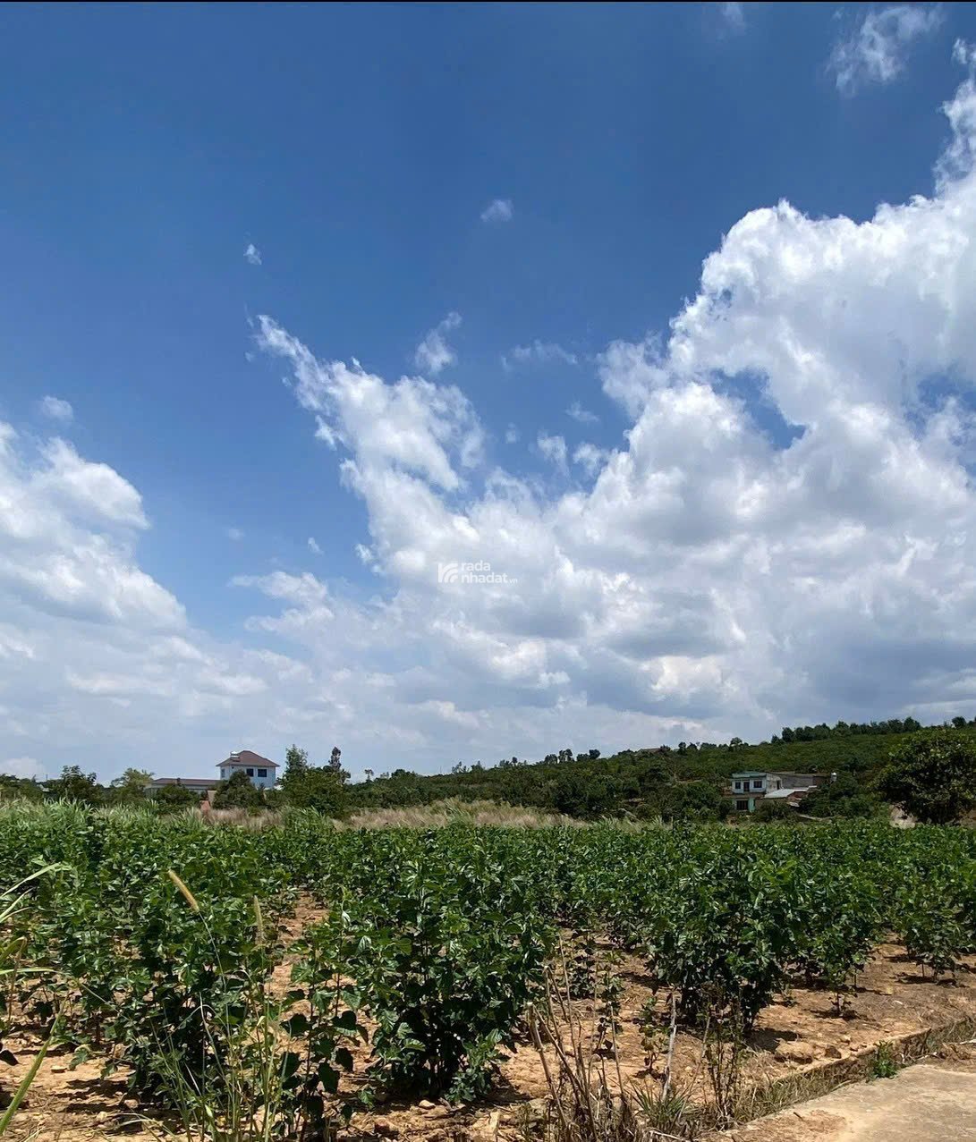 SỔ HỒNG TRAO TAY ĐÃ CÓ SẴN THỔ CƯ GIÁ 710TR