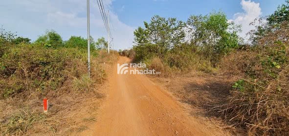 Đất nền siêu xịn tại La Ngà,Định Quán,Đồng Nai 