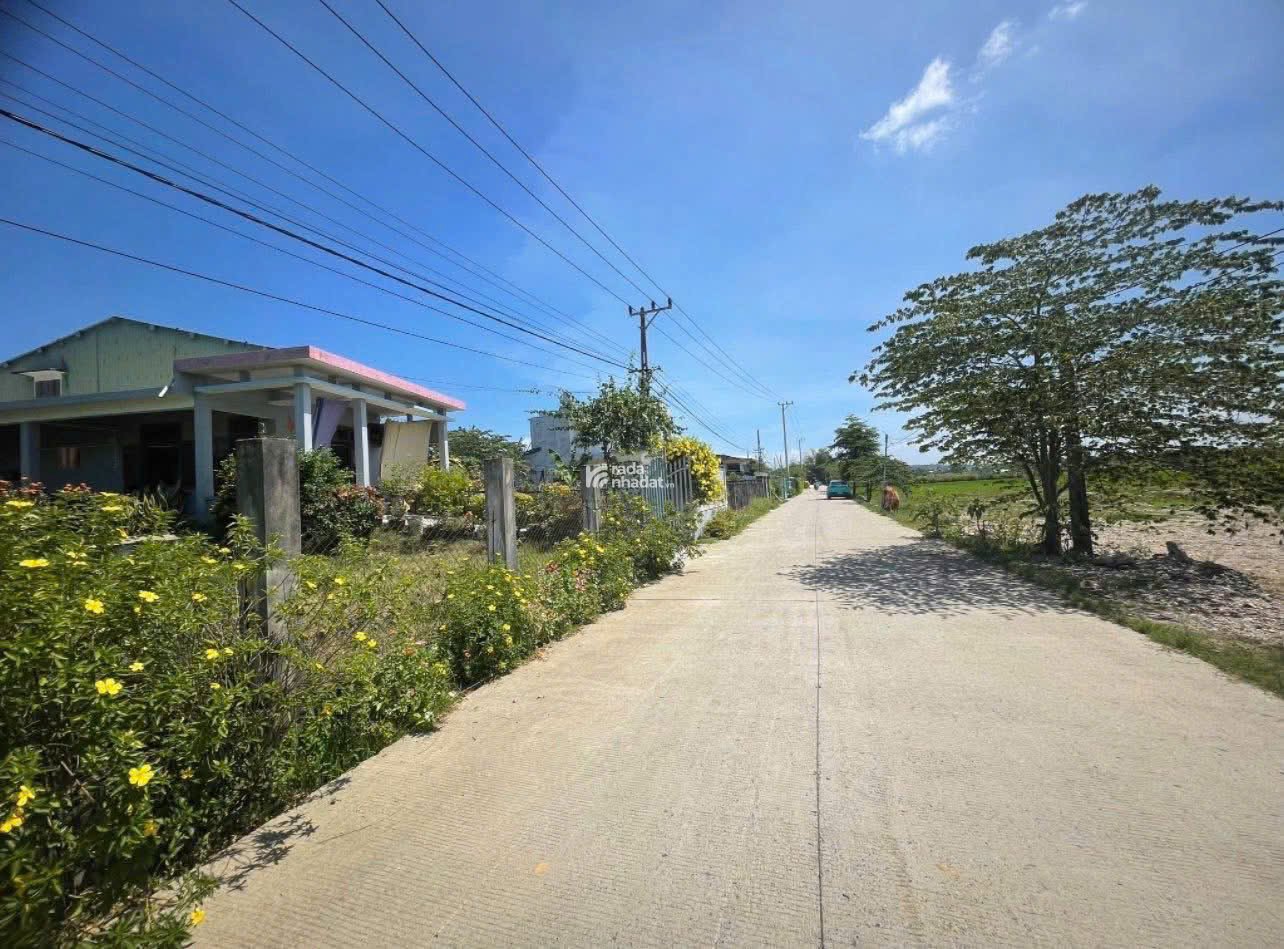 Lô đất vườn diện tích lớn 370m2 cần bán gấp giá chỉ 7,xx triệu/nền