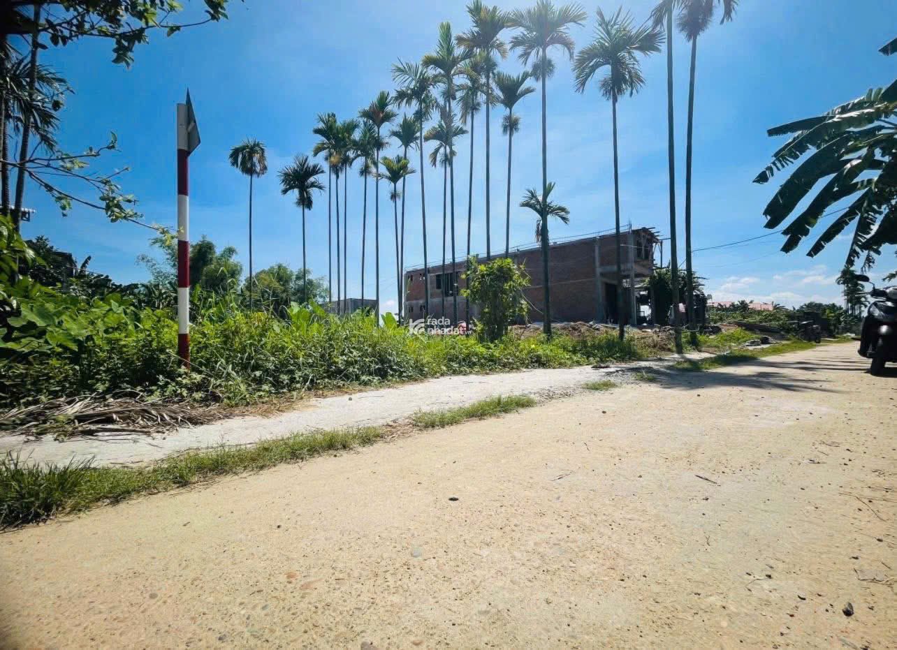 Lô đất vườn diện tích lớn 370m2 cần bán gấp giá chỉ 7,xx triệu/nền