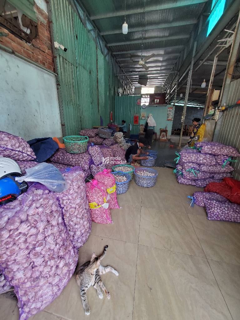 BÁN ĐẤT MẶT TIỀN NHỰA 20M KẾ LÊ CƠ 92M2 NAM HÙNG VƯƠNG CHỈ 8.X TỶ KHU PHÂN LÔ CAO TẦNG