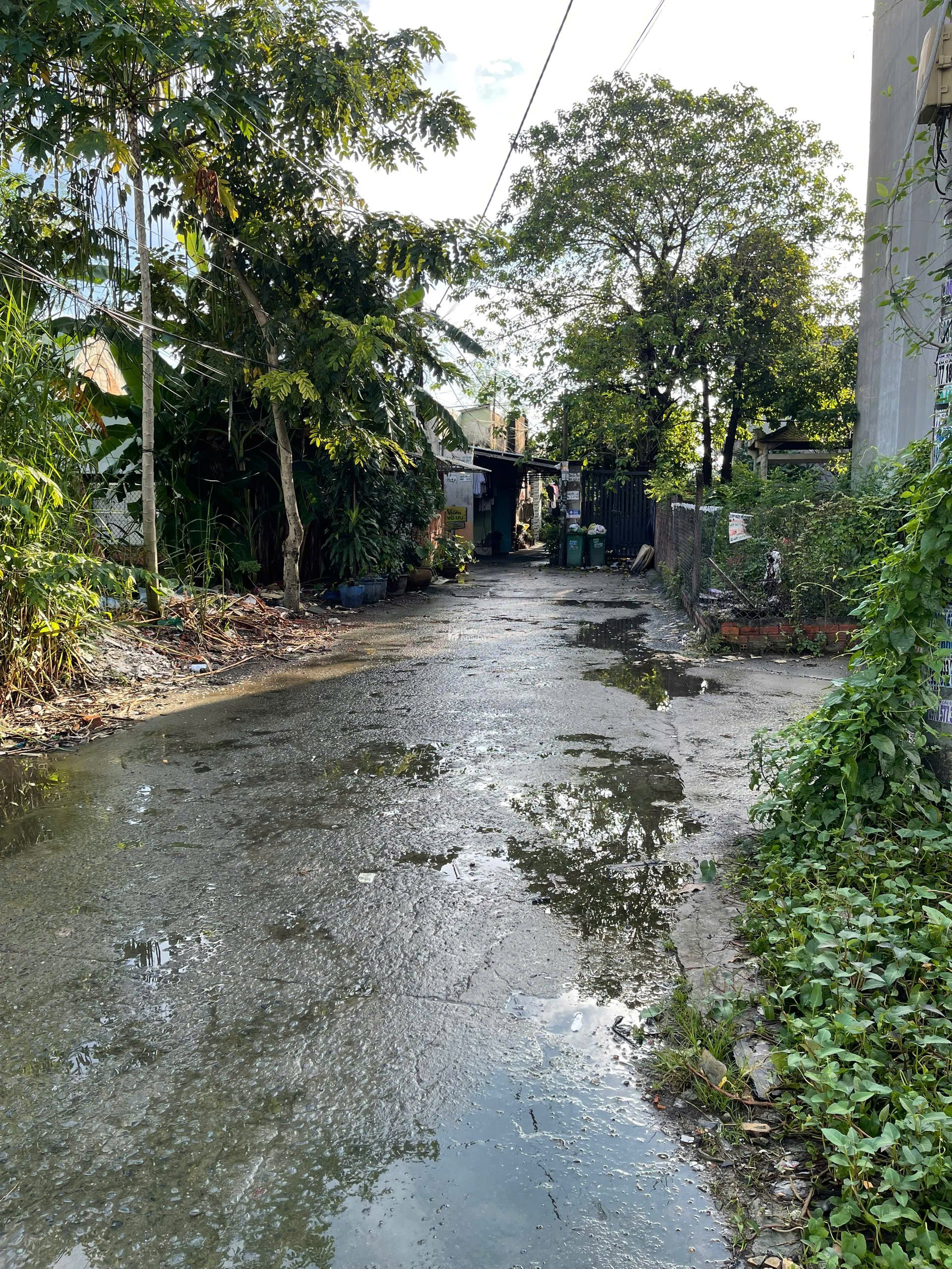  BÁN 2 LÔ ĐẤT ĐẸP  THẠNH XUÂN 25, QUẬN 12