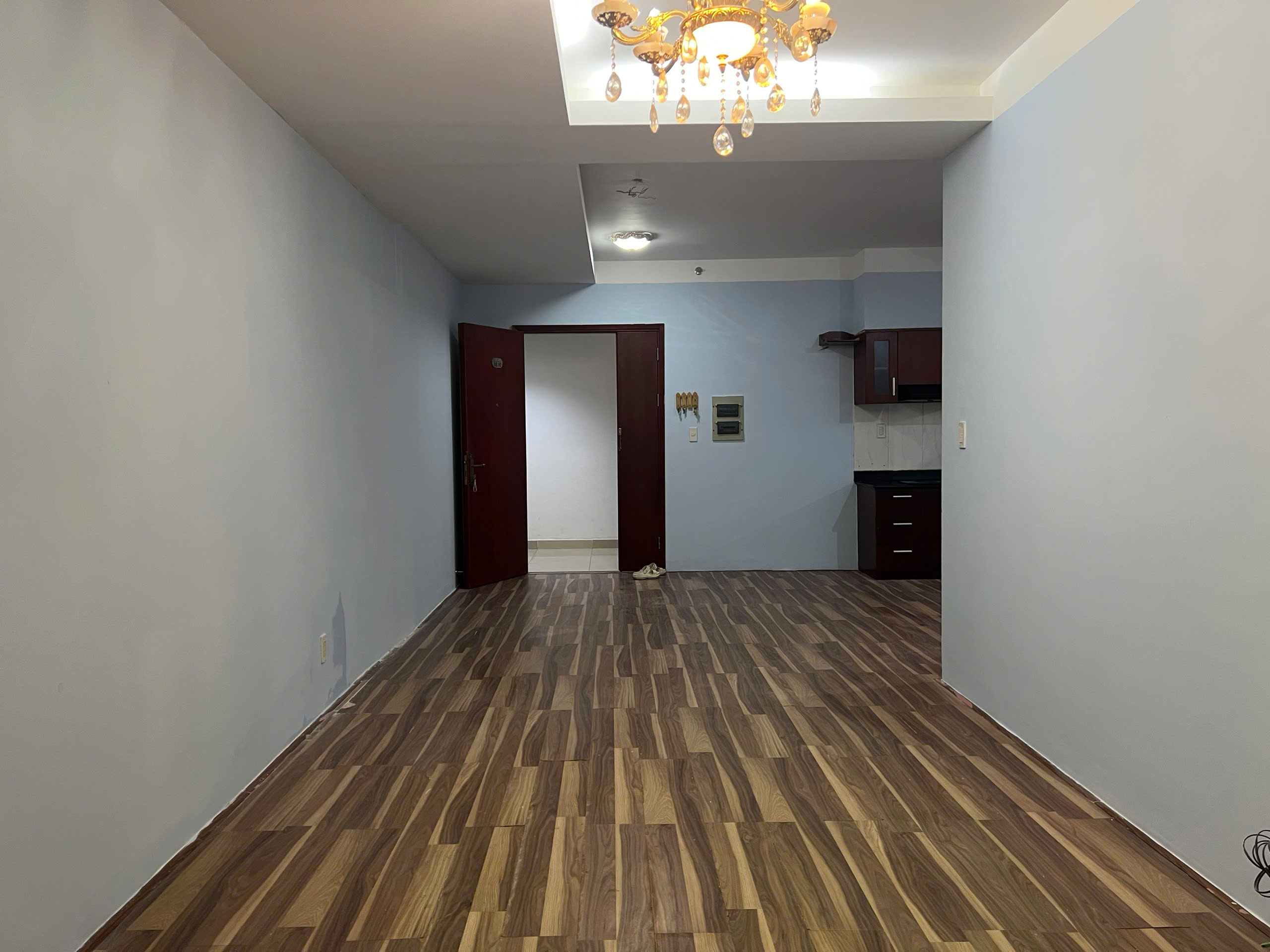 CHỦ CẦN TIỀN CẦN BÁN GẤP CHUNG CƯ CARILLON 1 TÂN BÌNH