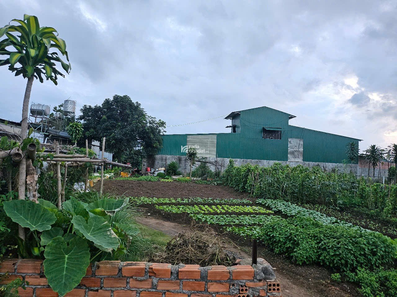 hanh Lô Đất Vị trí Đắc Địa Xã Hoà Bình, Di Linh, Lâm Đồng   - Diện tích: 690m2(23x30m