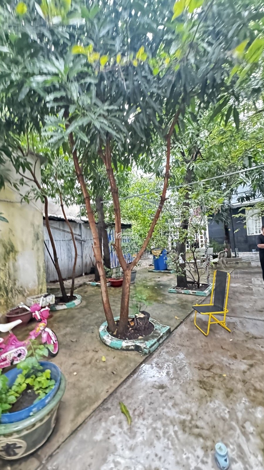 Bán đất tặng Biệt Thự 4tầng với sân vườn Tạ Quang Bửu Quận 8.