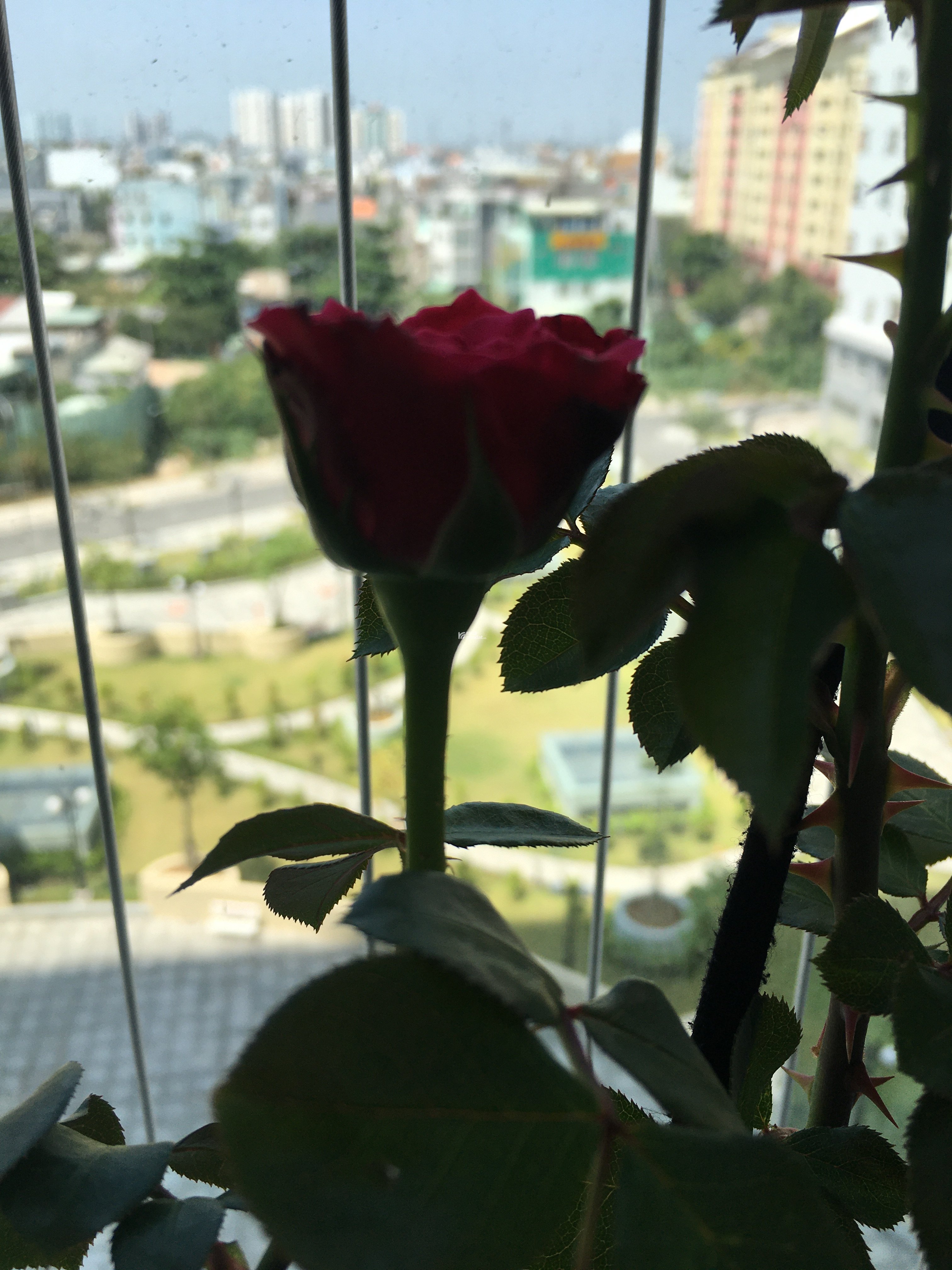 Bán căn hộ 02 PN, view công viên