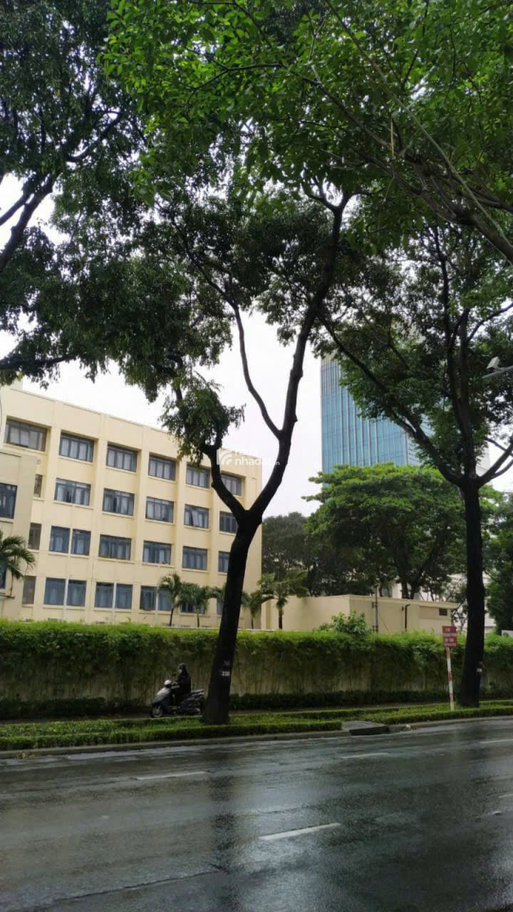 NHỈNH 15 TỶ - MẶT TIỀNNGANG 3.5M VÕ THỊ SÁU, XUÂN HOÀ, QUẬN 3