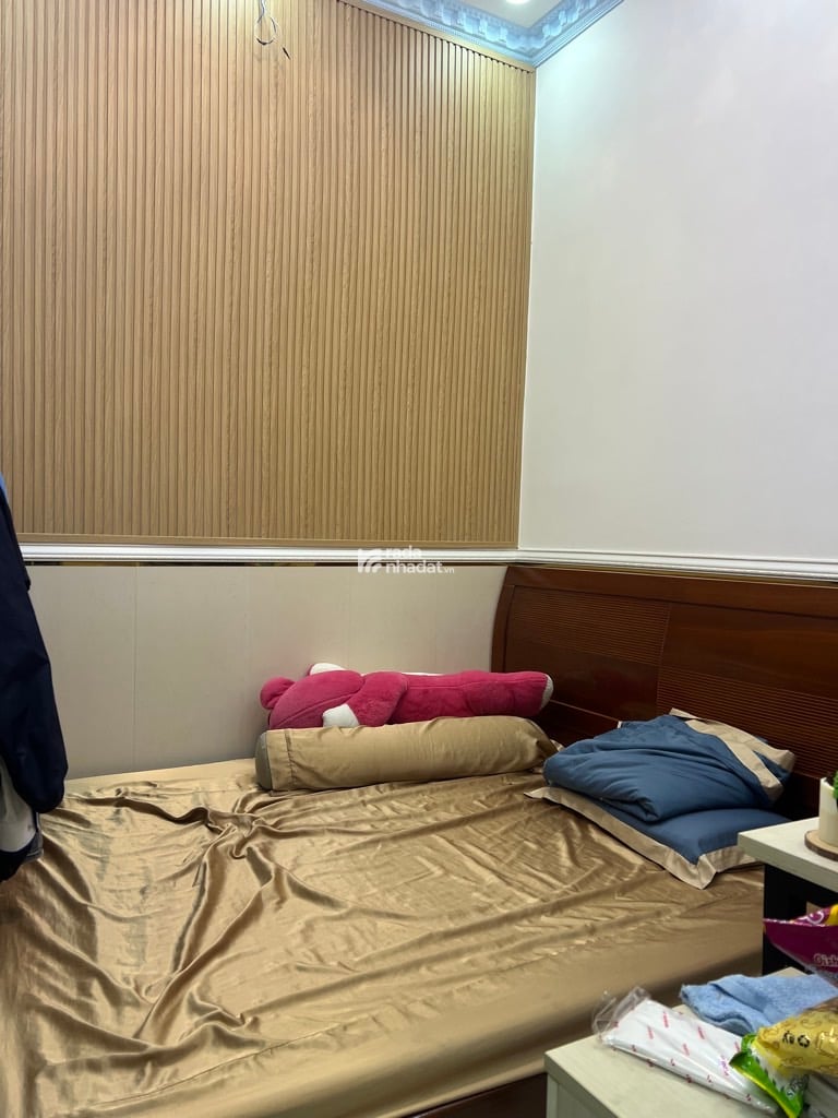 Nhà Đẹp Full Nội Thất, SHR , Phạm Hữu Lầu Phú Mỹ Quận 7, Chỉ 3,6 Tỷ