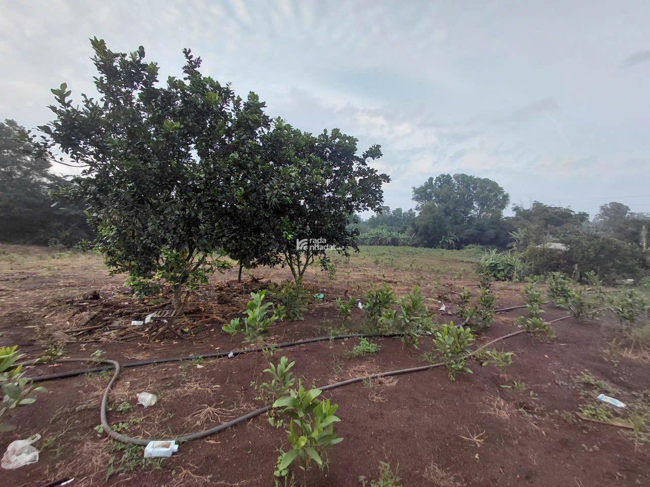 cần bán đất chính chủ,đất phủ hồng.pháp lí rõ ràng