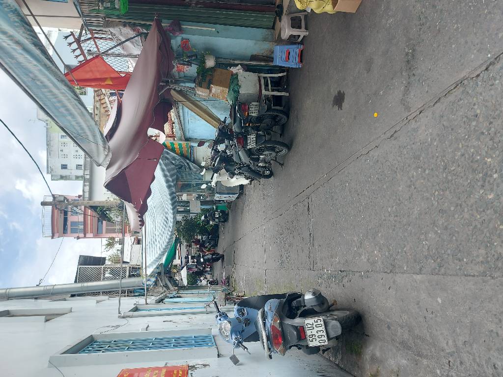   Nguyễn Biểu   Phường 1 Quận 5  