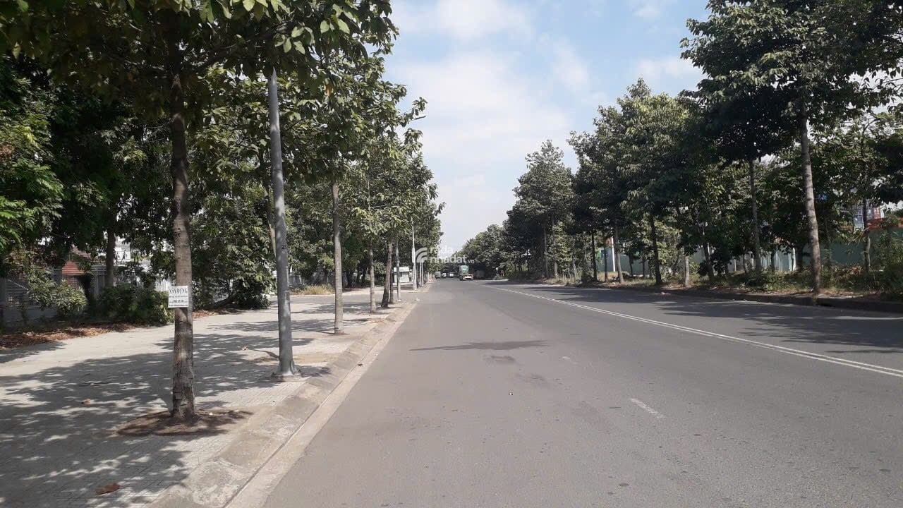 Bán ngộp lô 100m2 khu tái định cư Cát Lái giá chỉ 3 tỷ 790, SHR