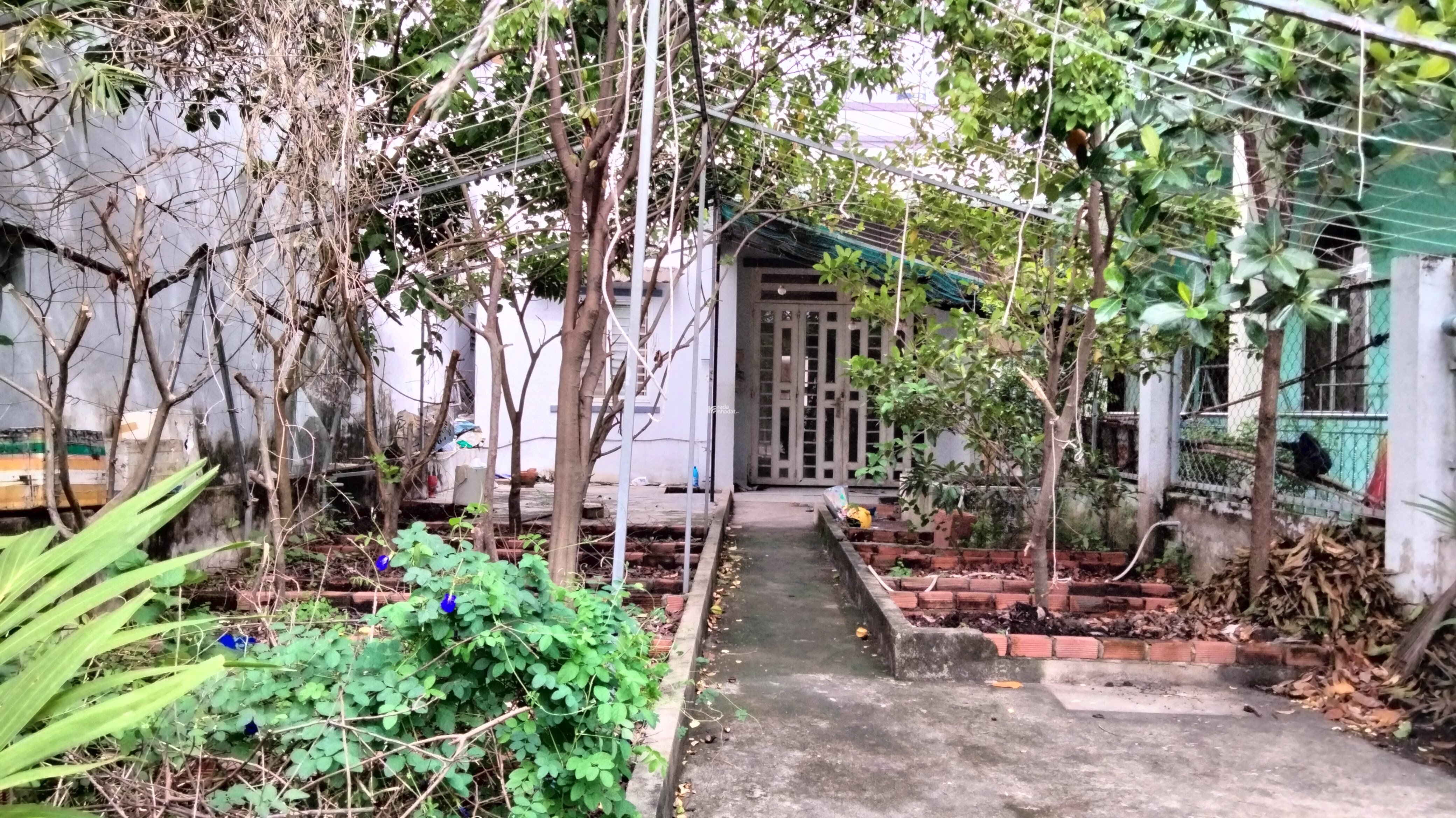 Nhà 2 mặt tiền hẻm 8m, 158m2 Phạm Hữu Lầu không quy hoạch, lộ giới, gần Phú Mỹ Hưng giá chỉ 8.9 tỷ