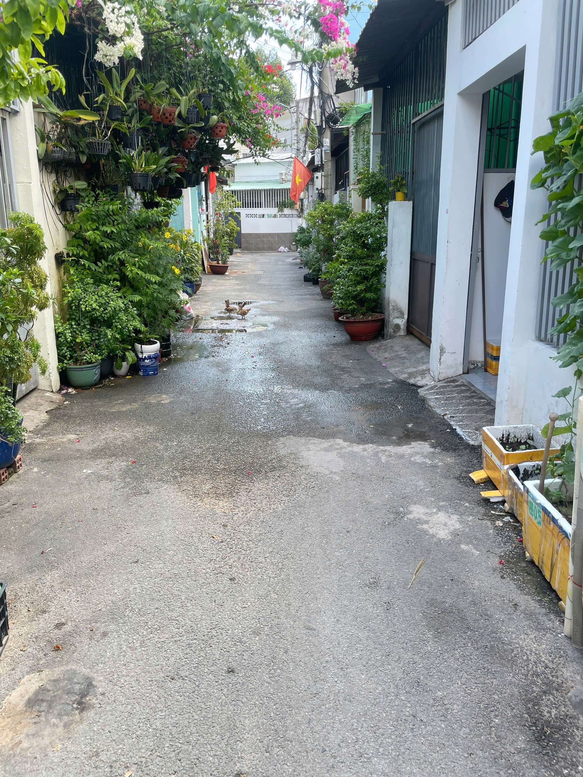 BÁN NHÀ CẤP 4 ĐƯỜNG 11, LINH CHIỂU, TP. THỦ ĐỨC GIÁ TỐT, VỊ TRÍ ĐẸP!