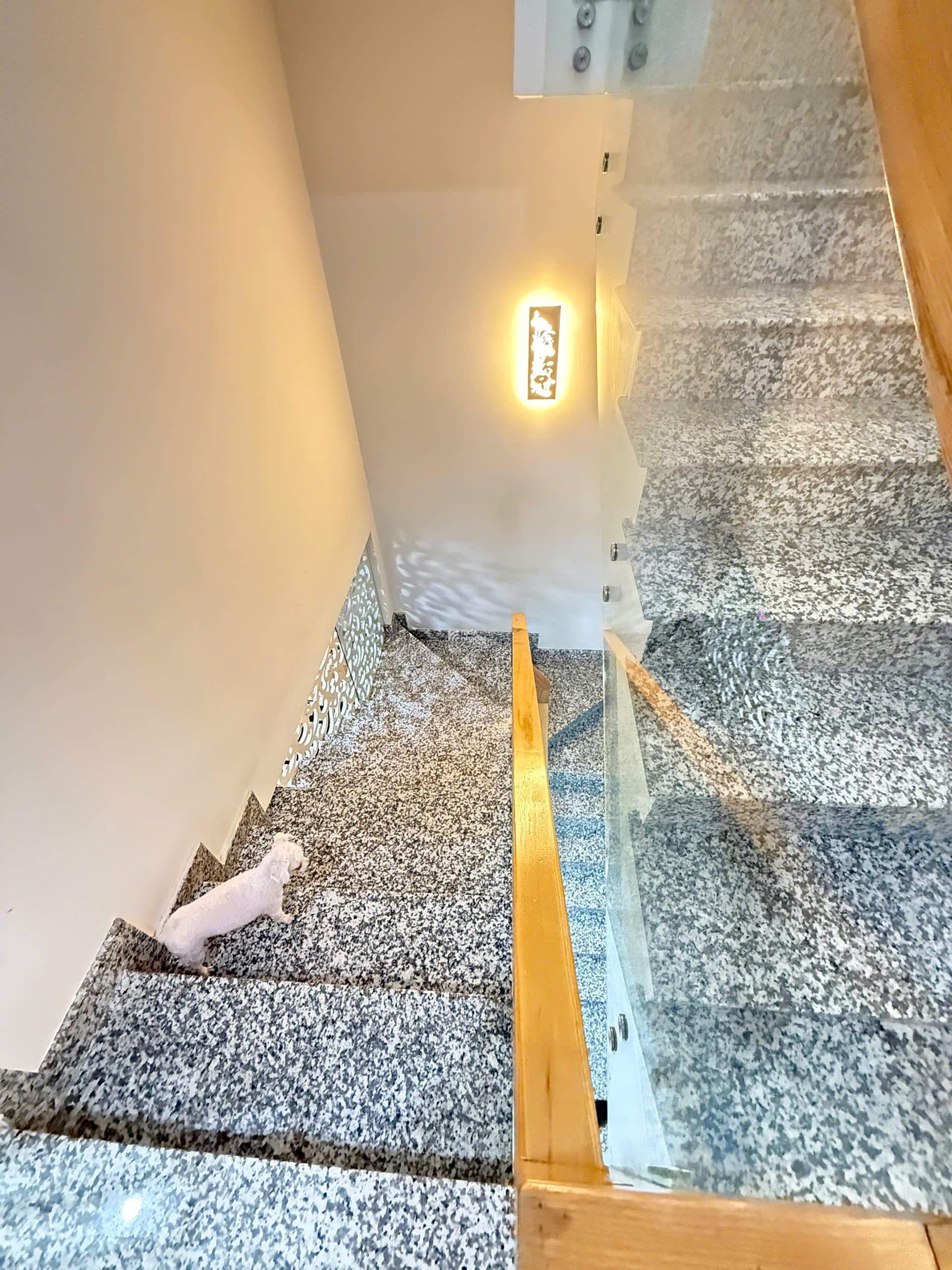 BÁN NHẢ HẺM Ô TÔ CMT8 Q3 - 4.2x12.6 - nhà 4 tầng - 15 tỷ TL  