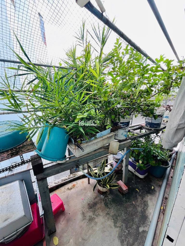BÁN NHÀ HẺM 125D NGUYỄN THỊ TẦN, P.2, QUẬN 8, 25M2