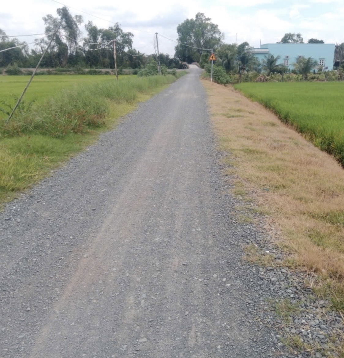 CHÍNH CHỦ CẦN BÁN GẤP 7.481M2 ĐẤT LÚA, MỸ THẠNH, THỦ THỪA CŨ