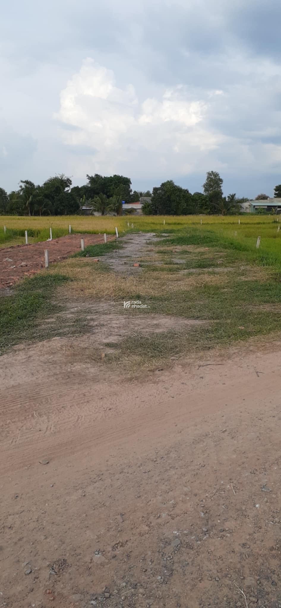 200m2 full Thổ Cư Chỉ 300tr Sang Tên Ngay Còn Lại Trả Dần, Bình Thành, Đức Huệ, Long An