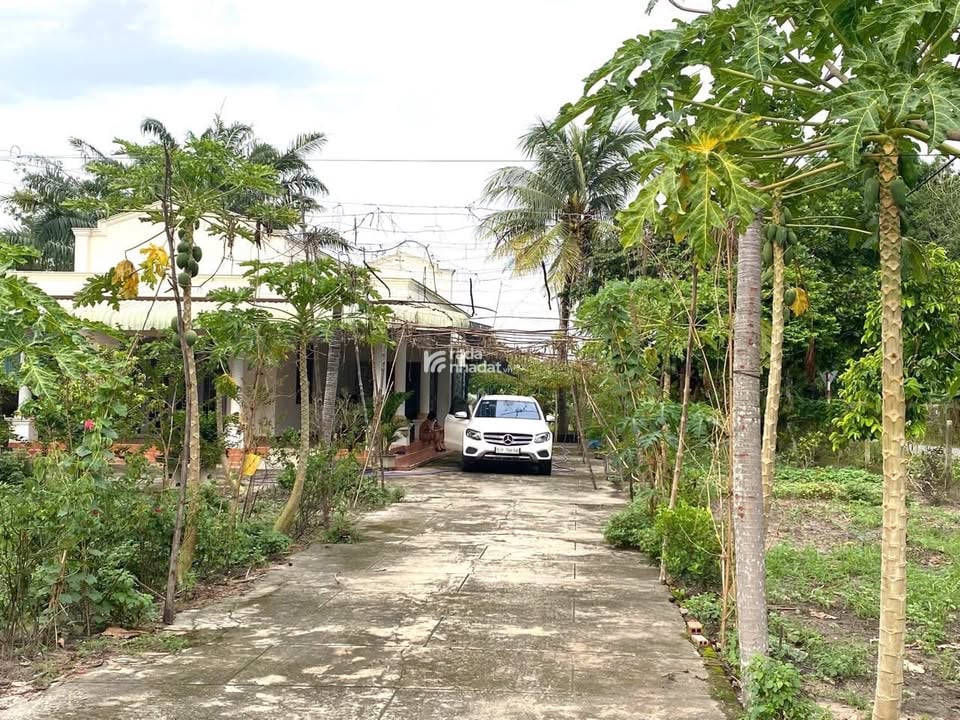 5000m2 đất góc 2 mặt tiền đường Nguyễn Thị Rành, xã Nhuận Đức giá 30 tỷ