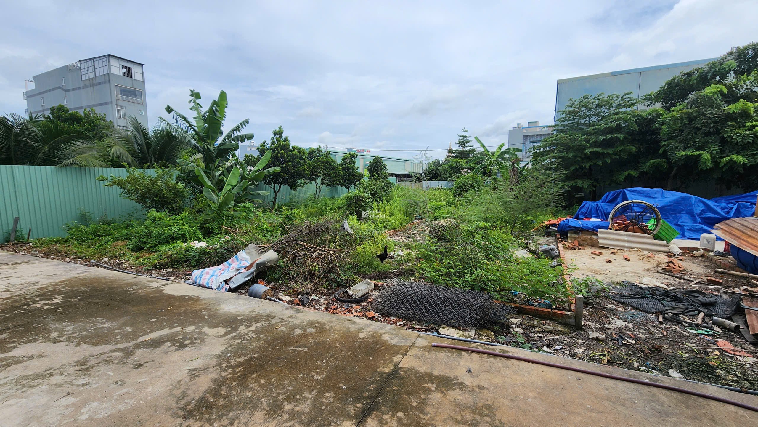 ĐẤT THỔ CƯ 1/HÀ HUY GIÁP -  SÔNG ÔNG ĐỤNG, THẠNH LỘC, QUẬN 12