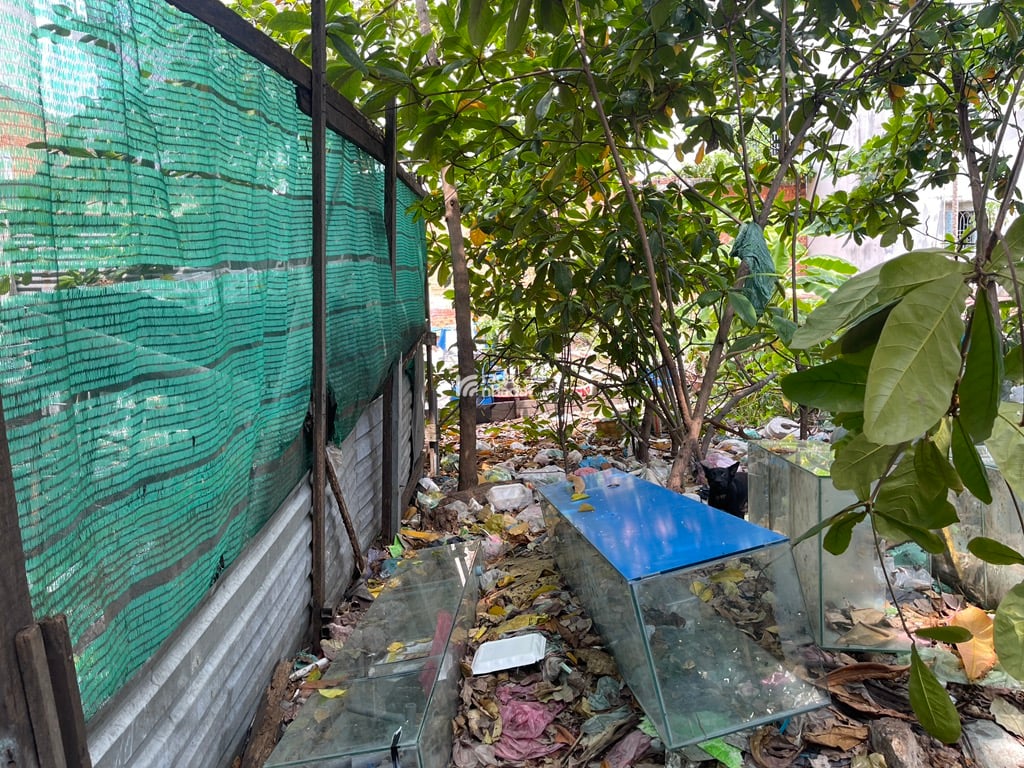 BÁN ĐẤT TÂN HÒA ĐÔNG 48M2 1.6 TỶ GẦN KHU DÂN CƯ HIM LAM QUẬN 6