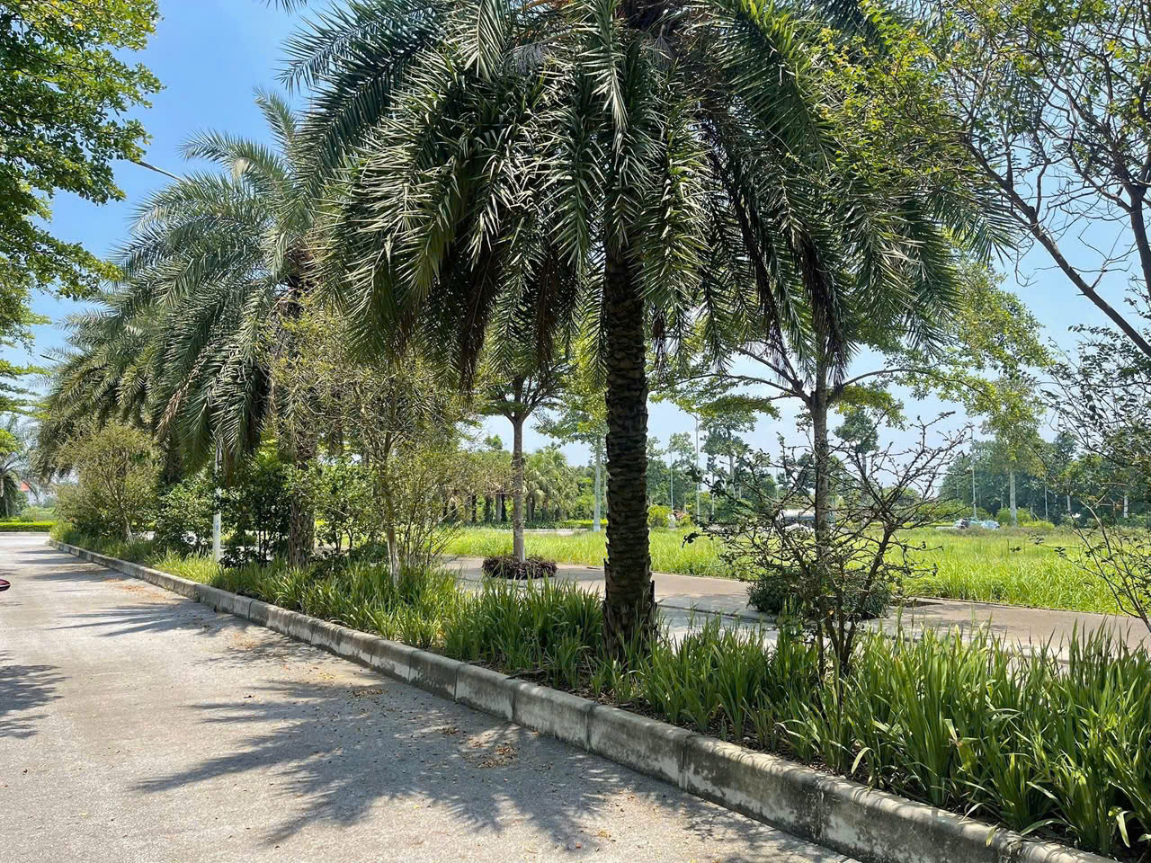 MIK Phố Nối- Chuẩn bị mở bán đợt 1 trong tháng 07/2026