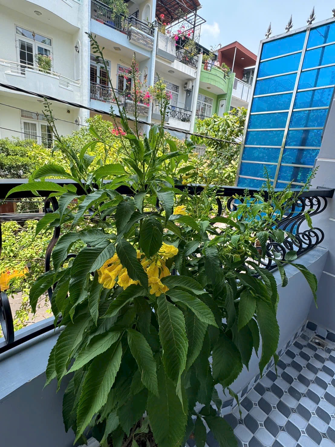 BÁN NHÀ MẶT TIỀN MỚI CAO LỖ Q8