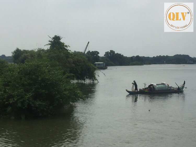 BÁN NHÀ MÁY SẢN XUẤT THỨC ĂN GIA SÚC, GIA CẦM, THỦY SẢN  TN 11,65HA