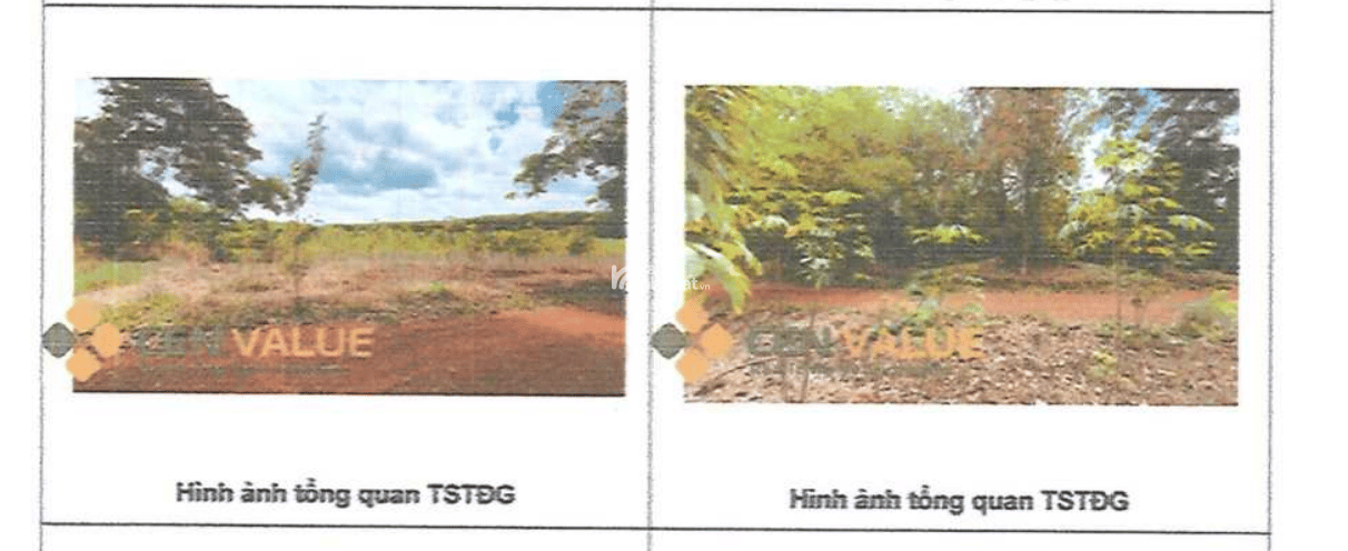 BÁN ĐẤU GIÁ TS VIB L3_TT TÂN PHÚ, ĐỒNG PHÚ, BÌNH PHƯỚC (NAY LÀ XÃ ĐỒNG PHÚ, TỈNH ĐỒNG NAI)