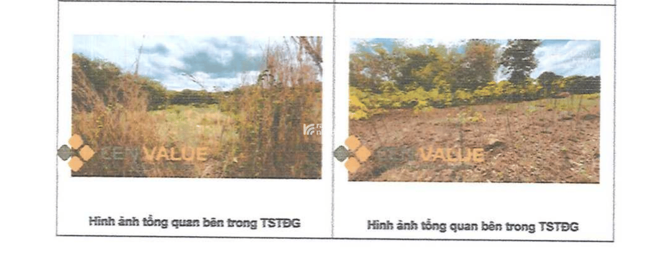 BÁN ĐẤU GIÁ TS VIB L3_TT TÂN PHÚ, ĐỒNG PHÚ, BÌNH PHƯỚC (NAY LÀ XÃ ĐỒNG PHÚ, TỈNH ĐỒNG NAI)