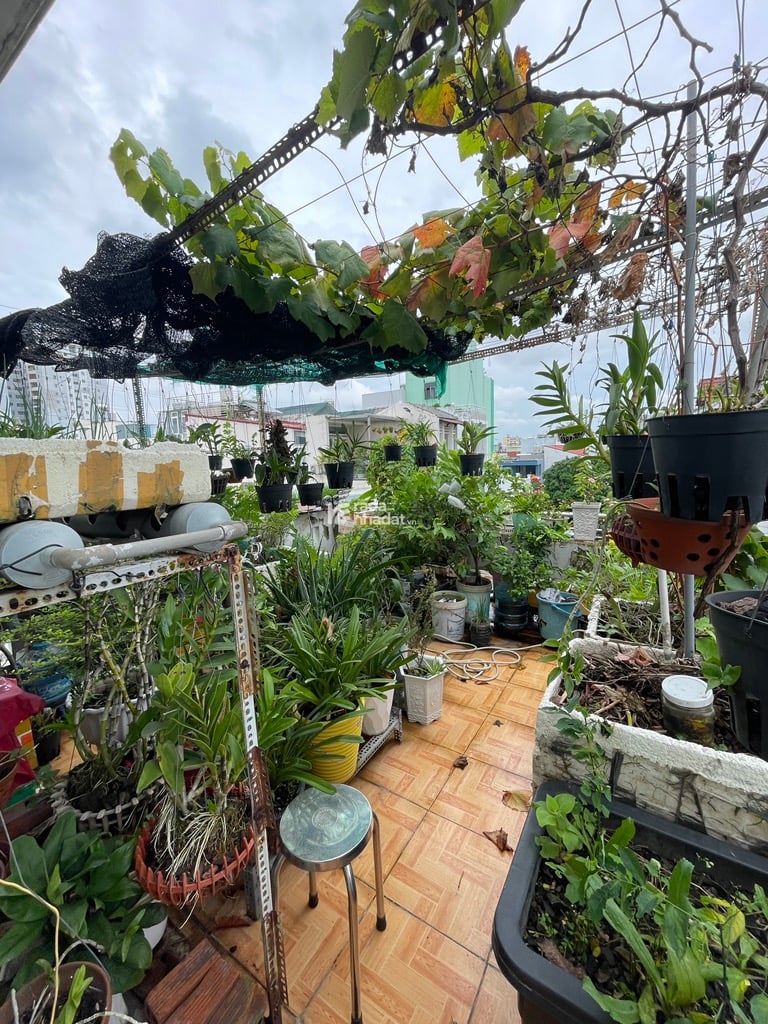 MT KHU NHÀ HỌ LÊ- LÊ SAO PHÚ THẠNH ,TÂN PHÚ, DT: 6.2/10*13M - 6 TỶ 8