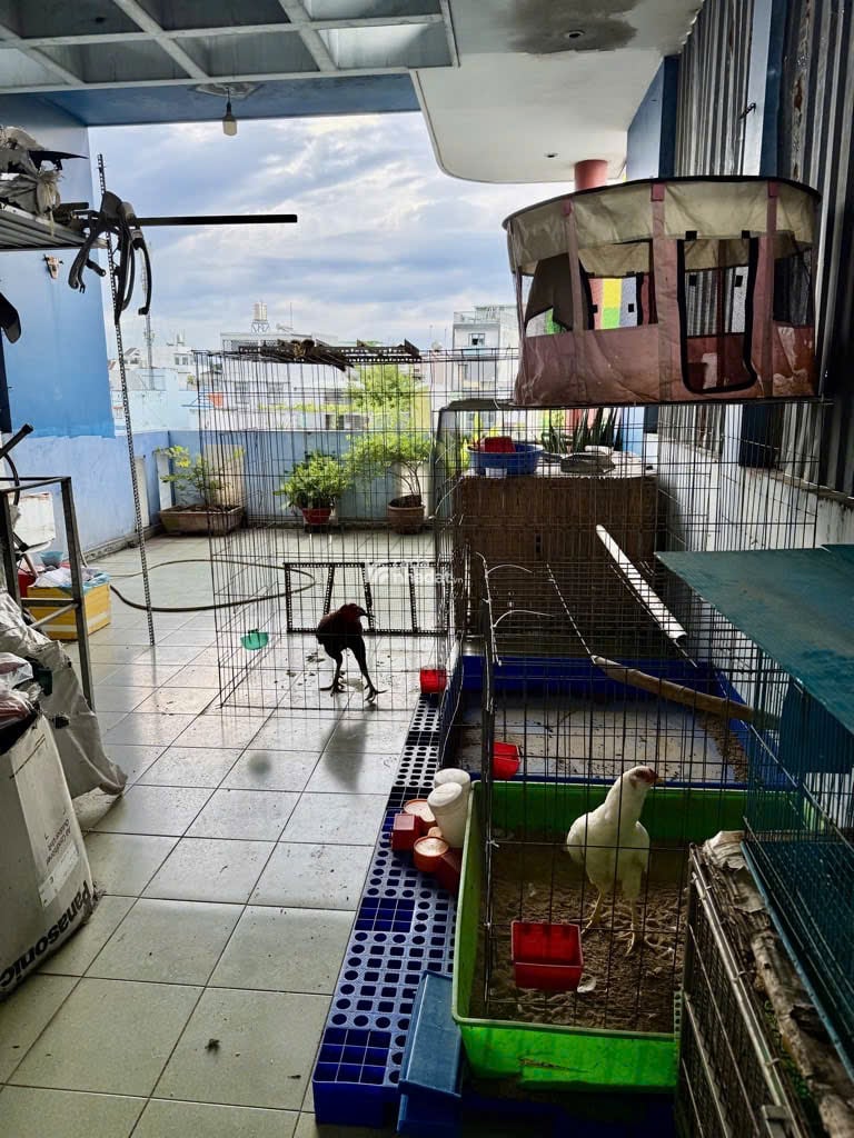 MẶT TIỀN HOÀNG VĂN HỢP,KHU TÊN LỬA (4,7m x 19m x 4 TẦNG) 10,4 TỶ TL