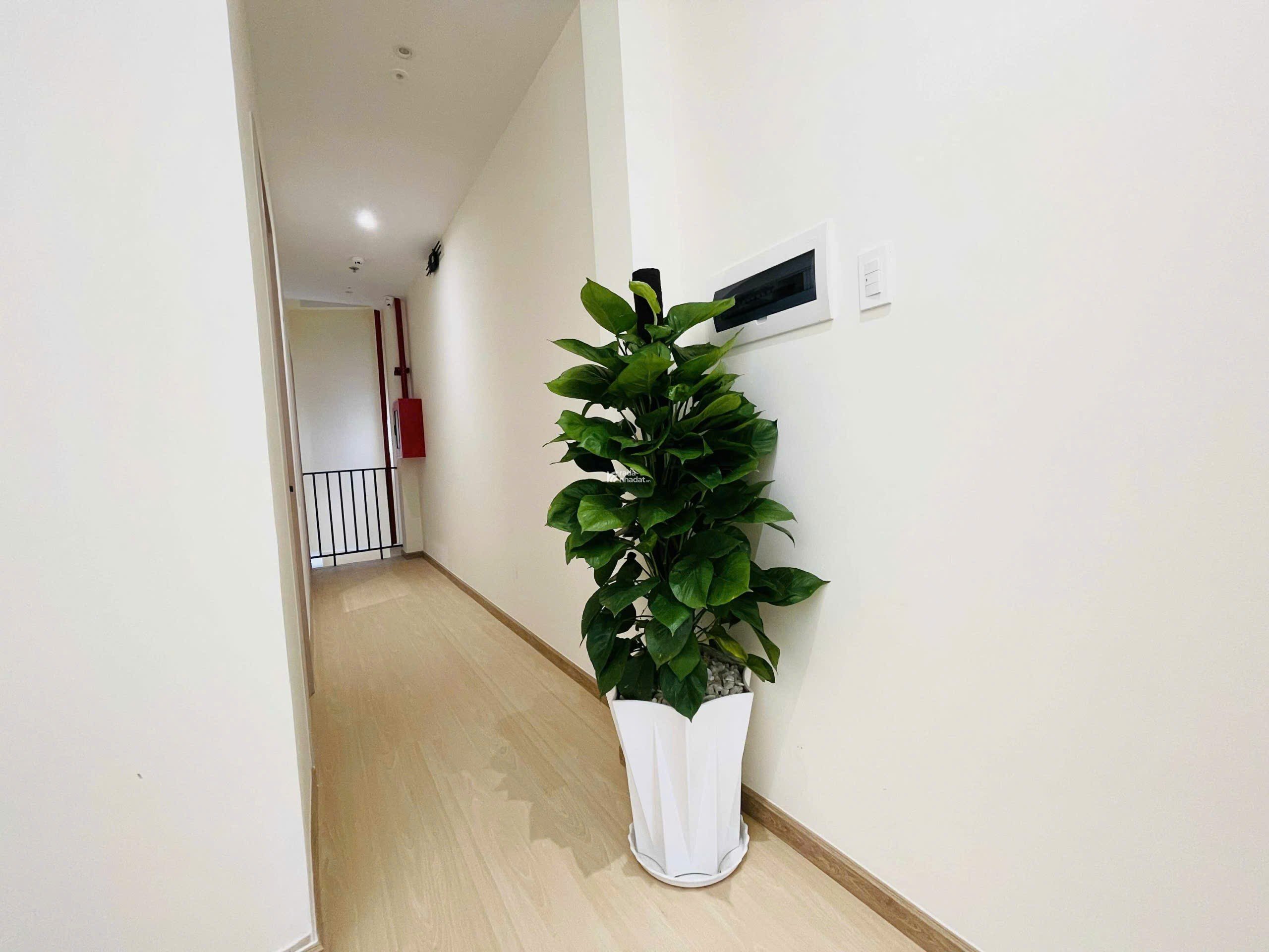 SIÊU PHẨM HOMESTAY DÒNG TIỀN KHỦNG 150TR/THÁNG - 4 TẦNG 95m2 - 16.9 TỶ