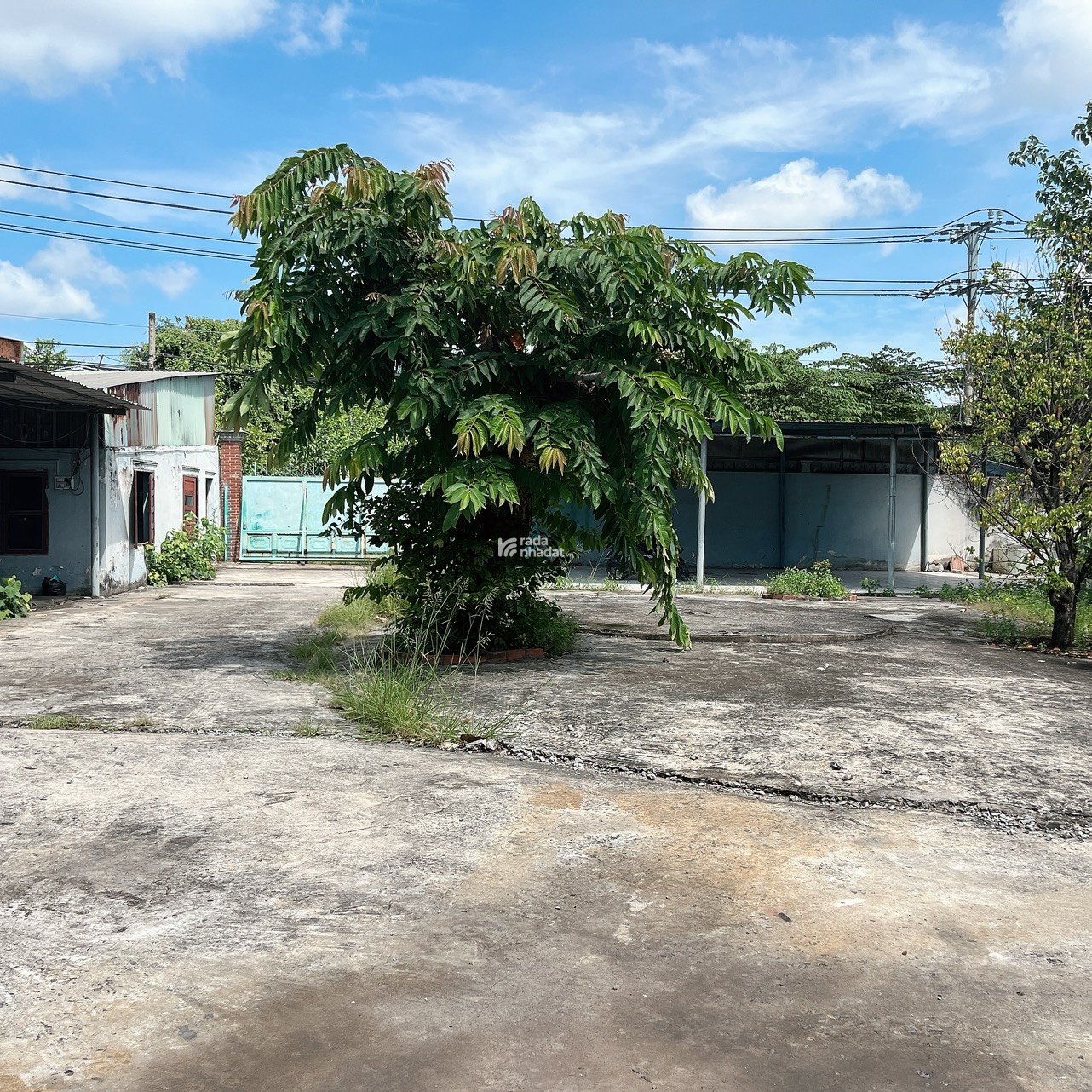 Mặt tiền đường Thanh Niên 1.312m2 Full Nhà Xưởng  