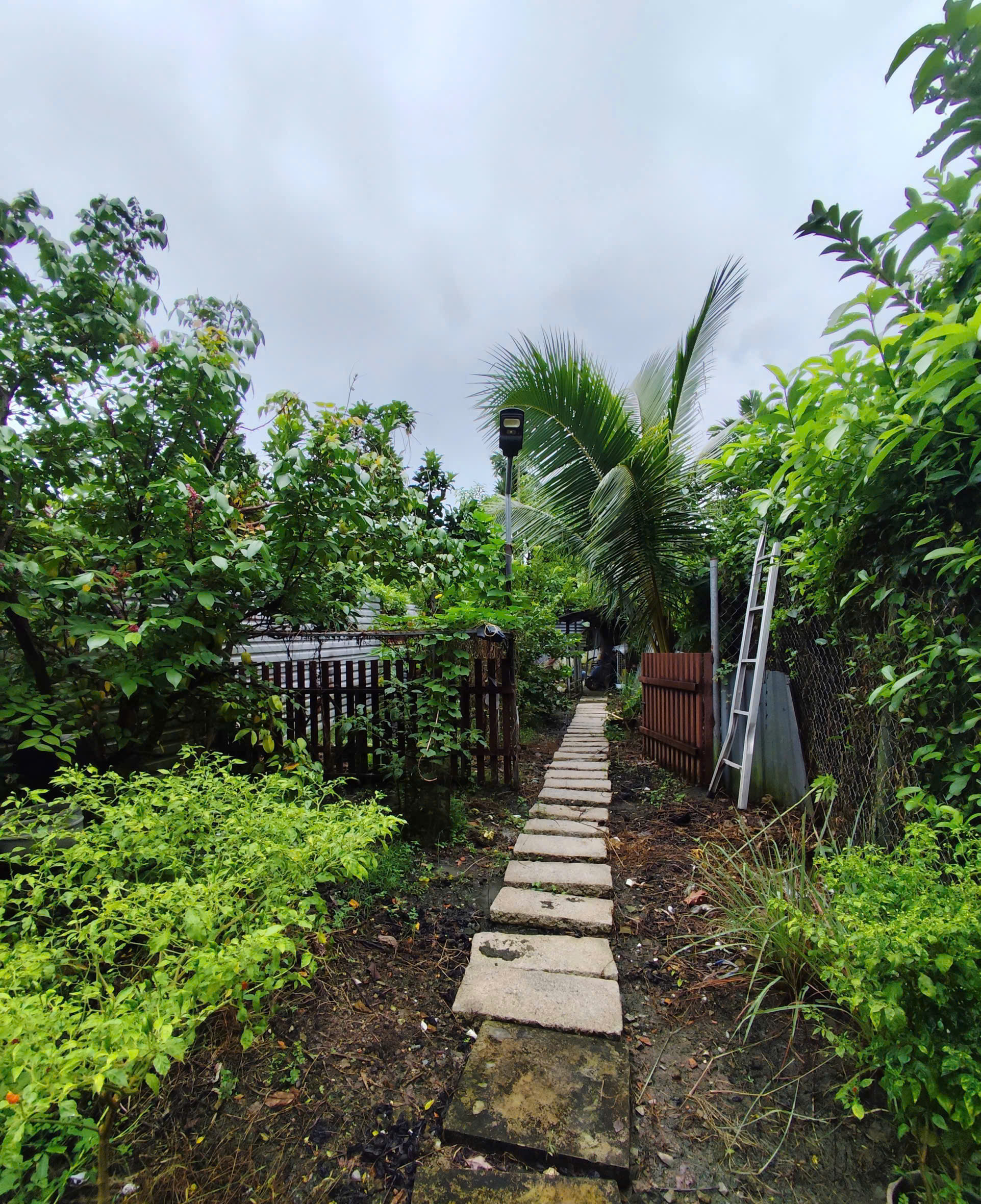 BIỆT THỰ VƯỜN VEN SÔNG SÀI GÒN - 782M2 ĐẤT - 30P VÀO QUẬN 1 - GIÁ CHỈ 10T/M2