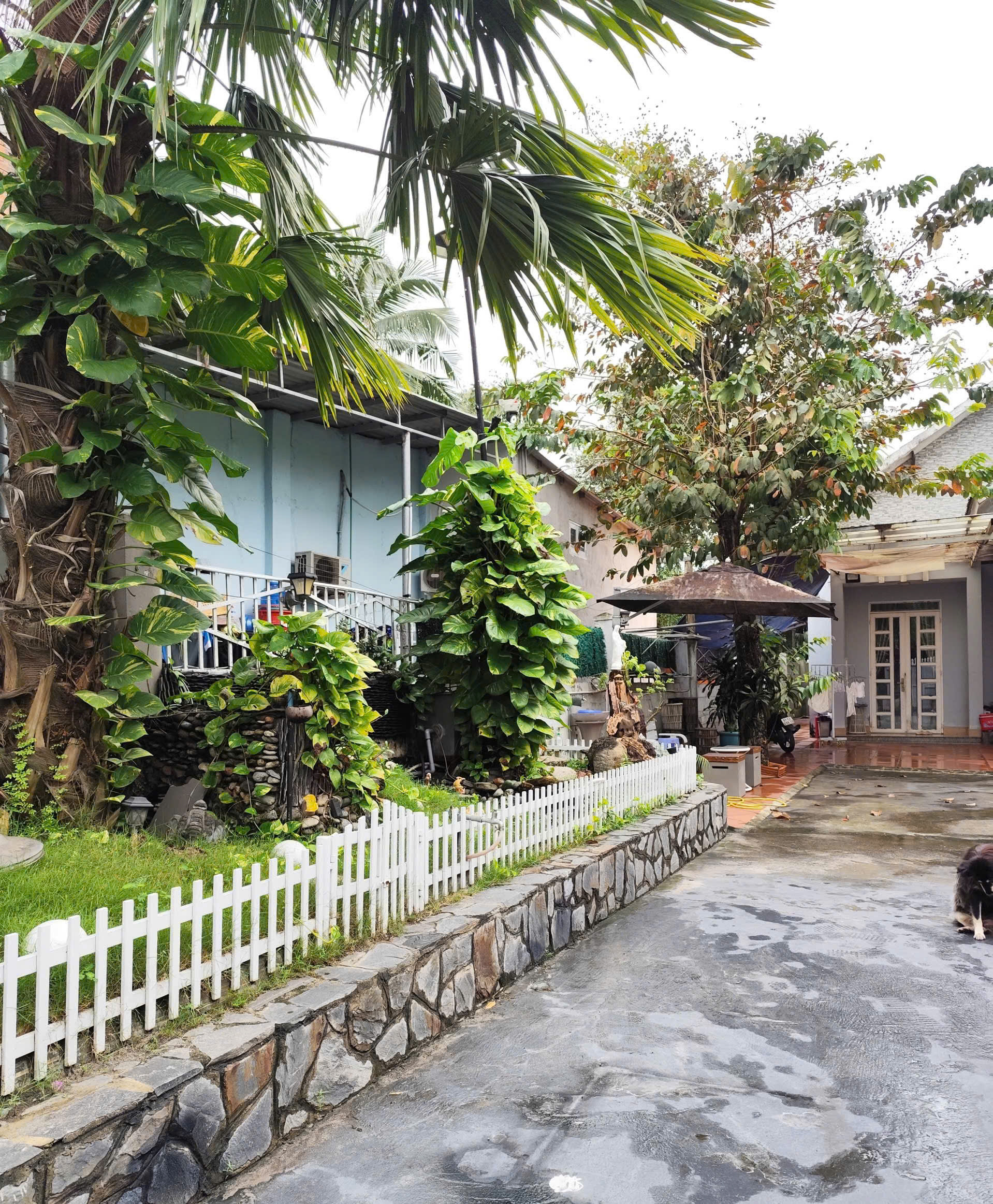 BIỆT THỰ VƯỜN VEN SÔNG SÀI GÒN - 782M2 ĐẤT - 30P VÀO QUẬN 1 - GIÁ CHỈ 10T/M2